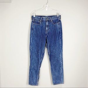 American Eagle Outfitters striped  Mom Jeans Size 6 US